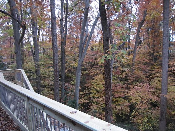 View from deck - pretty fall colors