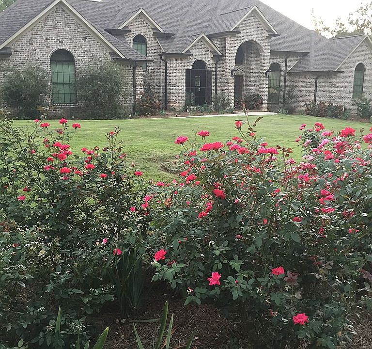 Home front view 