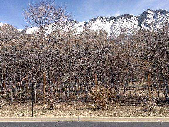 View across road to the east
