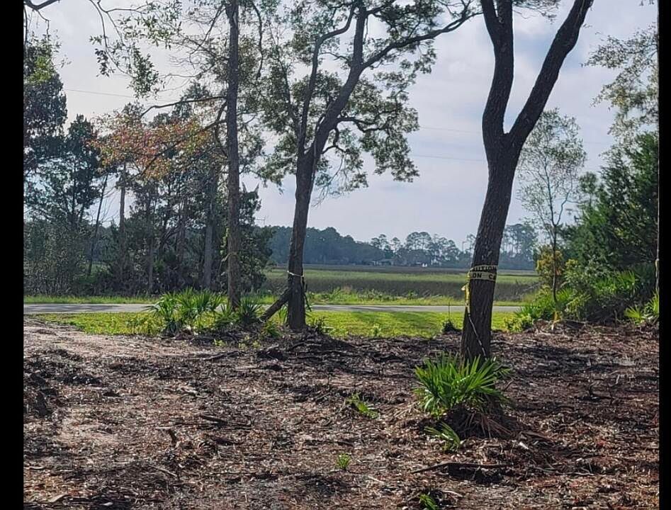 1st image of 0 Piney Bluff Rd