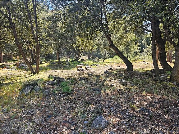 4th image of 15716 Mil Potrero Hwy Lot 243