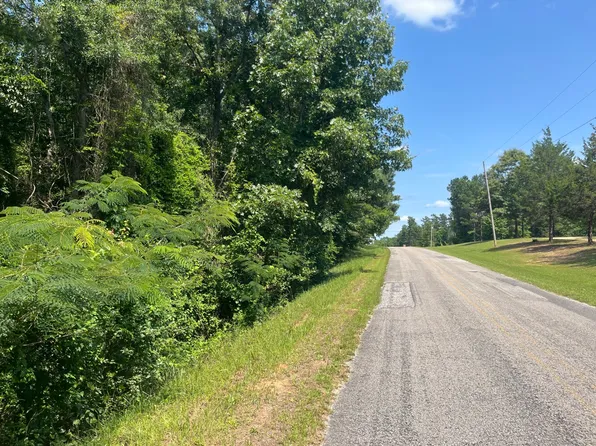 0 Mount Willing Rd, Guin, AL 35563