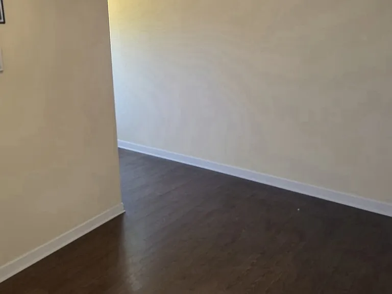 1345 S Wabash Ave #703 — Photo 17