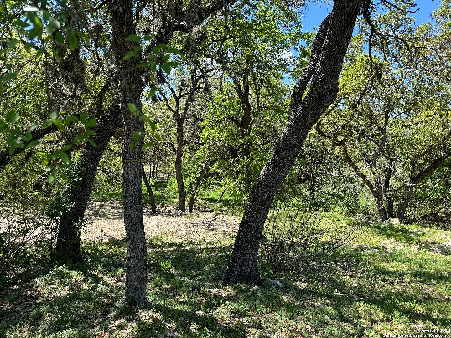 56 Eton Green Cir LOT 27