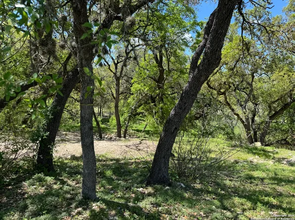 56 Eton Green Cir LOT 27, San Antonio, TX 78257