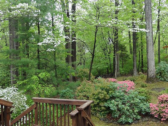 Gorgeous Lot Backing to Woods