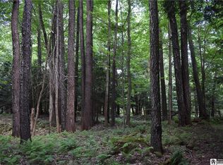 Hardys Rd, Gainesville, NY 14066