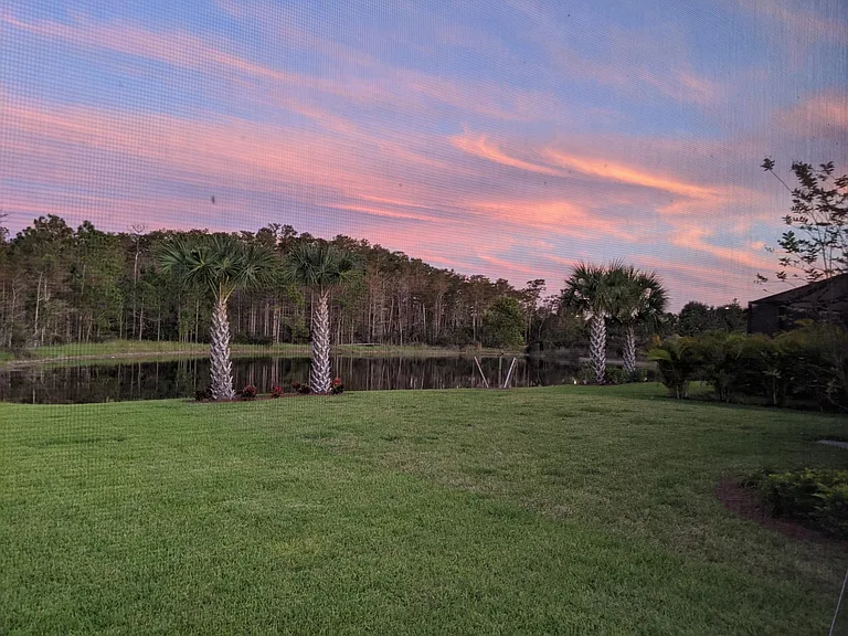 View of backyard from the lanai and kitchen