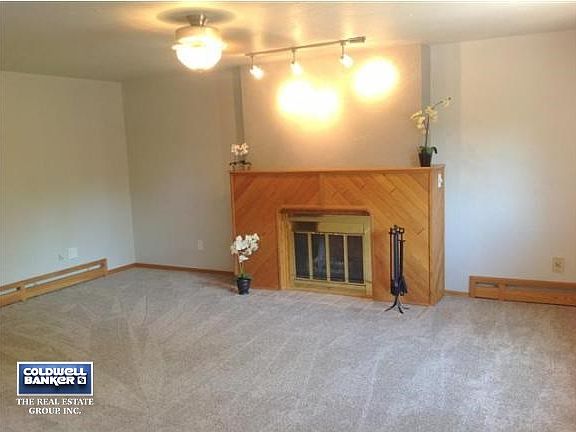 Wood Burning Fireplace