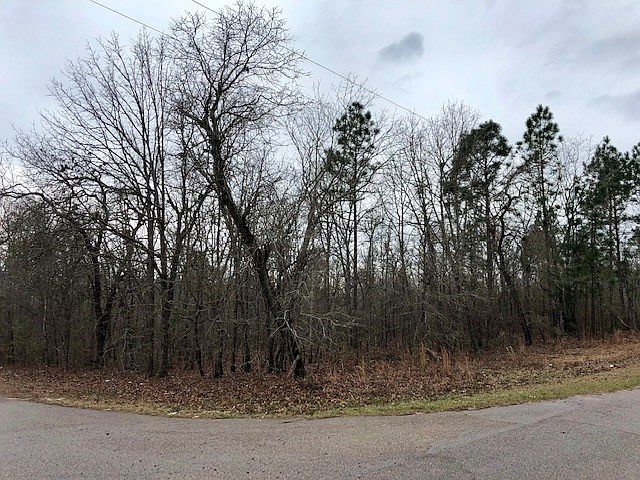 2nd image of 00 Live Oak Dr