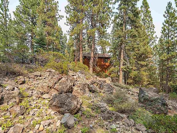 3rd image of 10535 Whitetail Ct