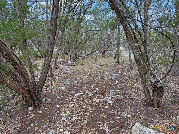 1084 Dog Leg Ln, Spring Branch, TX 78070