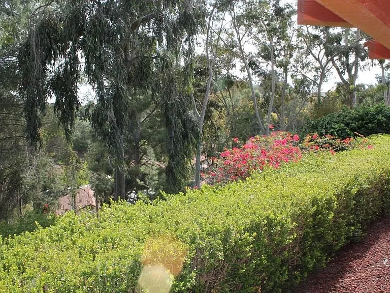 21950 Birds Eye Dr — Photo 11