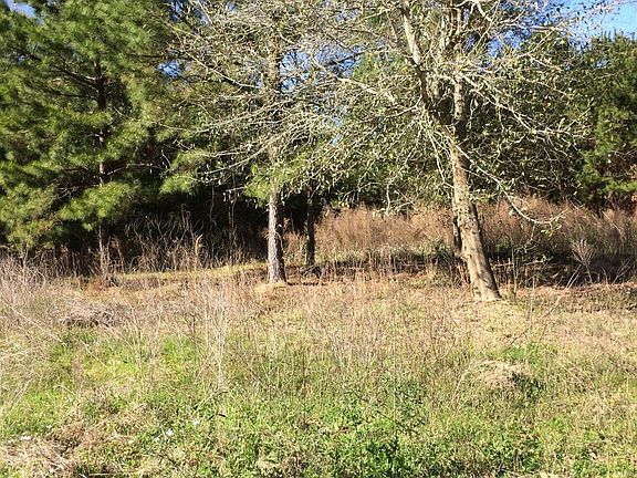 5th image of 668 County Road 3408
