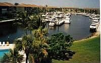 1st image of 1201 Seafarer Cir APT 504