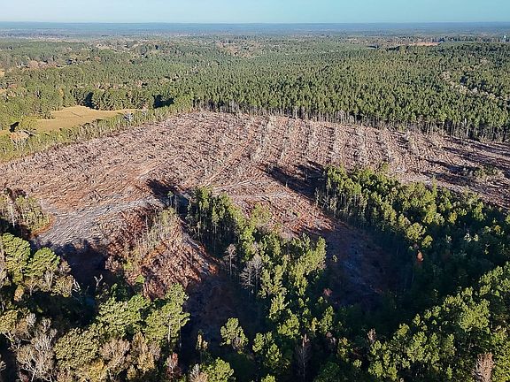 Compass South Land Sales Louisiana Herrington Hill 2