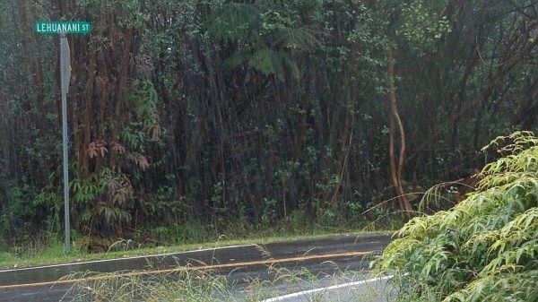 2nd image of Road 12 Lot 664