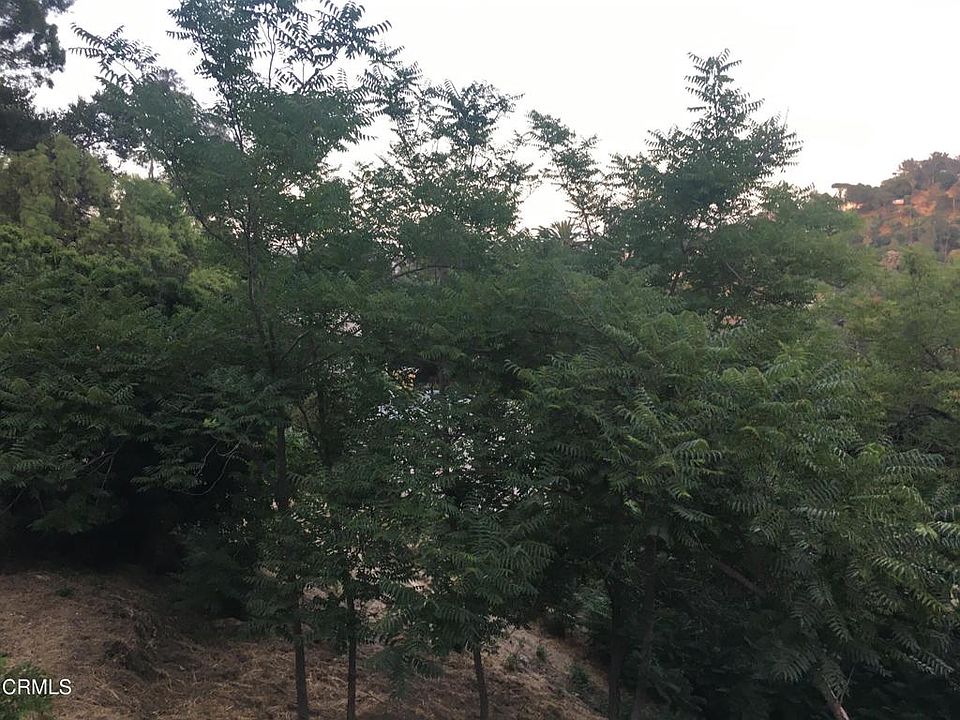 1st image of 0 Earl Ct