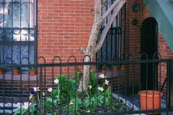 Street Level Entrance