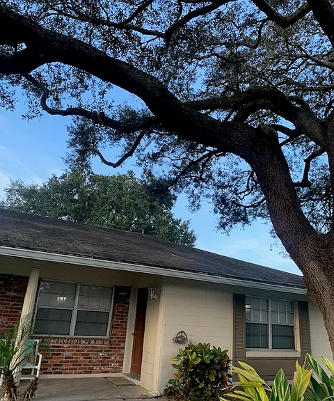 2515 Holly Rd — Photo 1