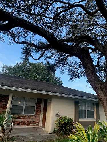 2515 Holly Rd Photo 1