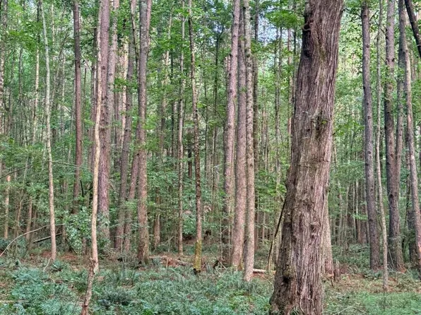 LOT 4 Pettit Rd, Jasper, GA 30143