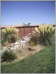 Back waterfall/pond