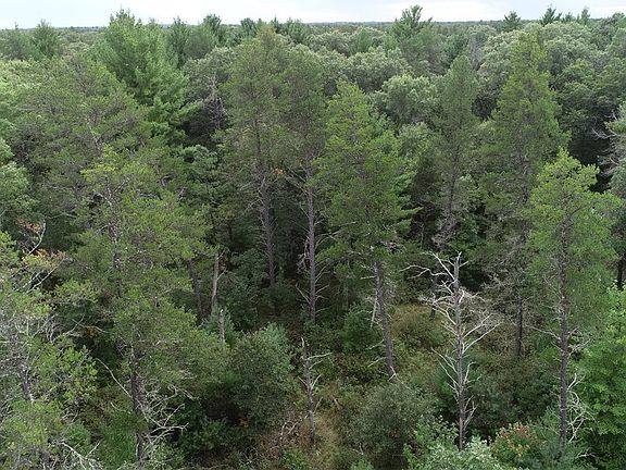 4th image of 000 Ferry (easement to property) Road