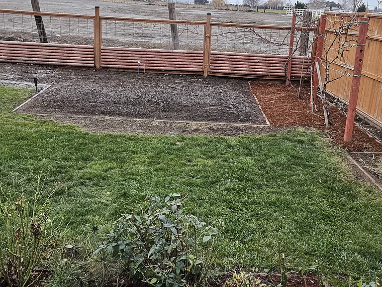 Backyard with garden area