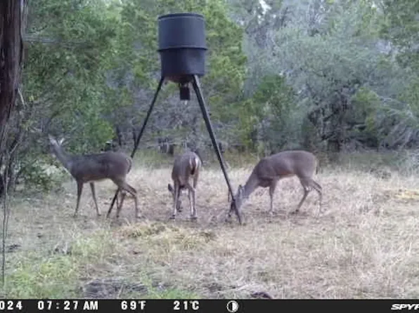 890 County Road 246, Hondo, TX 78861