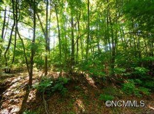 4A Running Ridge Rd, Asheville, NC 28804