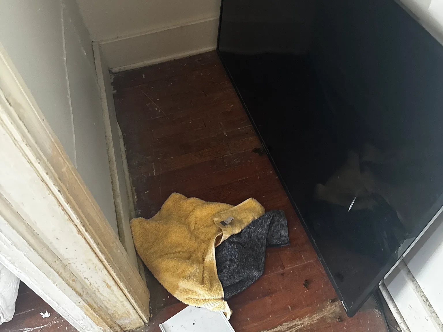 1 bed, 630 sqft, $700 — Photo 4