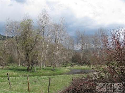 Lower pasture