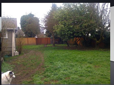 back/sideyard