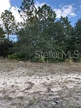 1st image of 6599 N AIRMONT DRIVE LOT 28