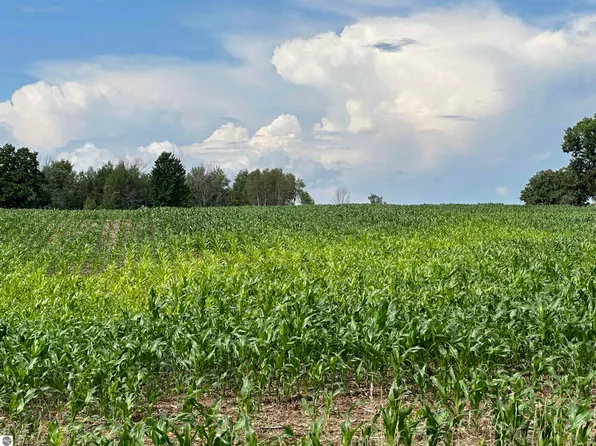 Vl2 19 Mile Rd, Marion, MI 49665