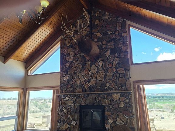 Cathedral ceiling/fireplace