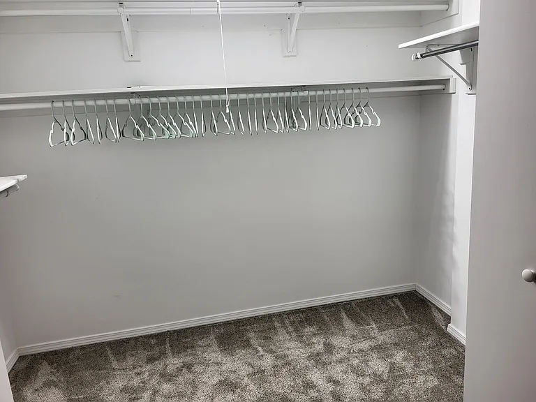 Large Primary Walk -In Closet