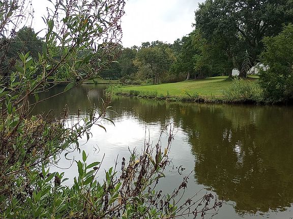 5th image of 123 Bayou Glen St