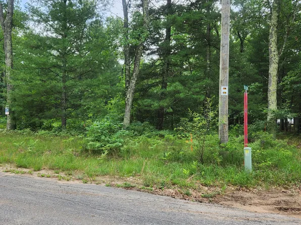 11614 S Red Cedar Ave, Baldwin, MI 49304
