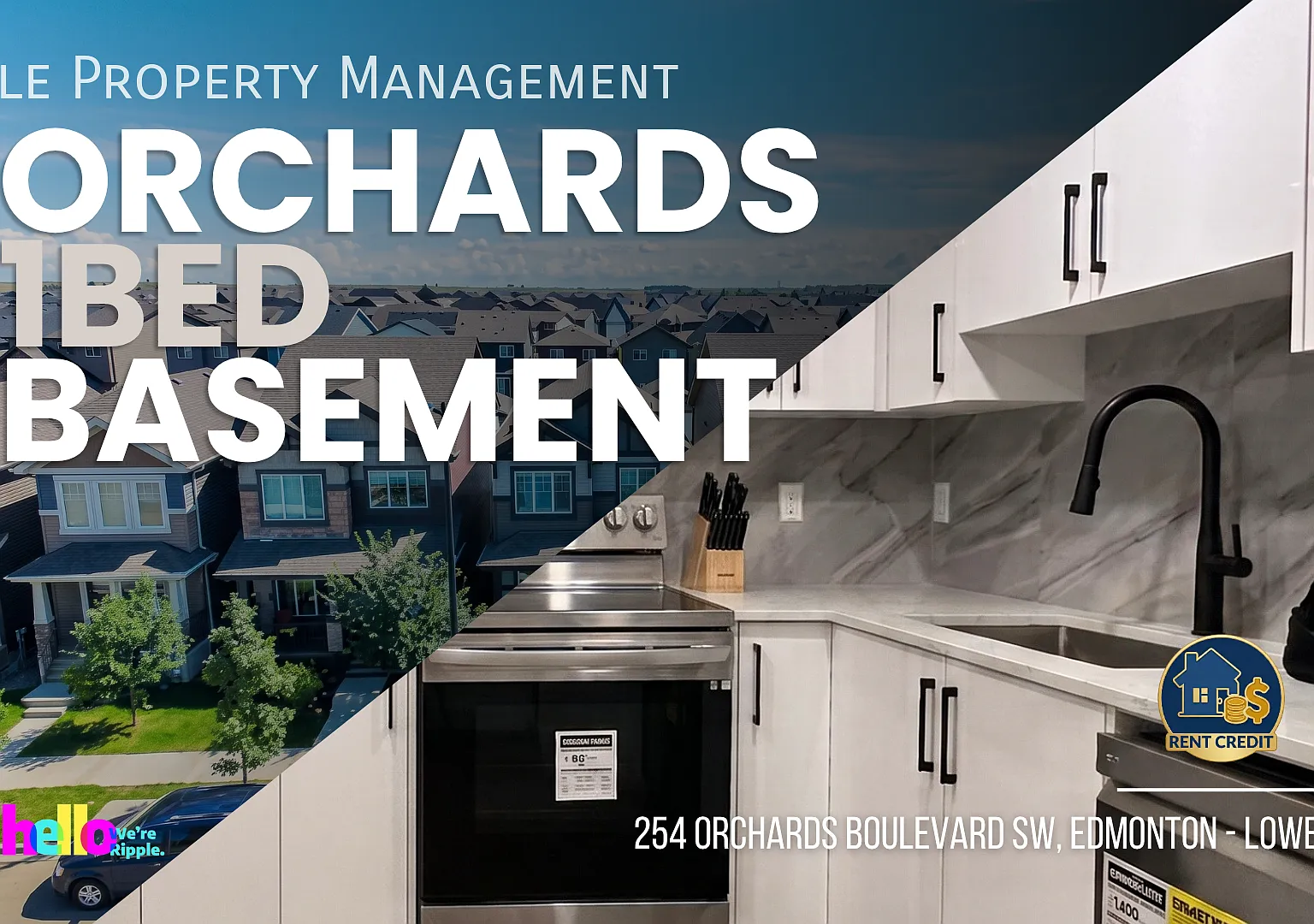 Amazing 1 Bed Basement Suite | Modern Living In The Orchards — Photo 1