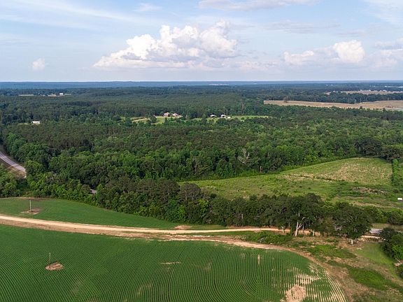 4th image of 0 Mississippi #589