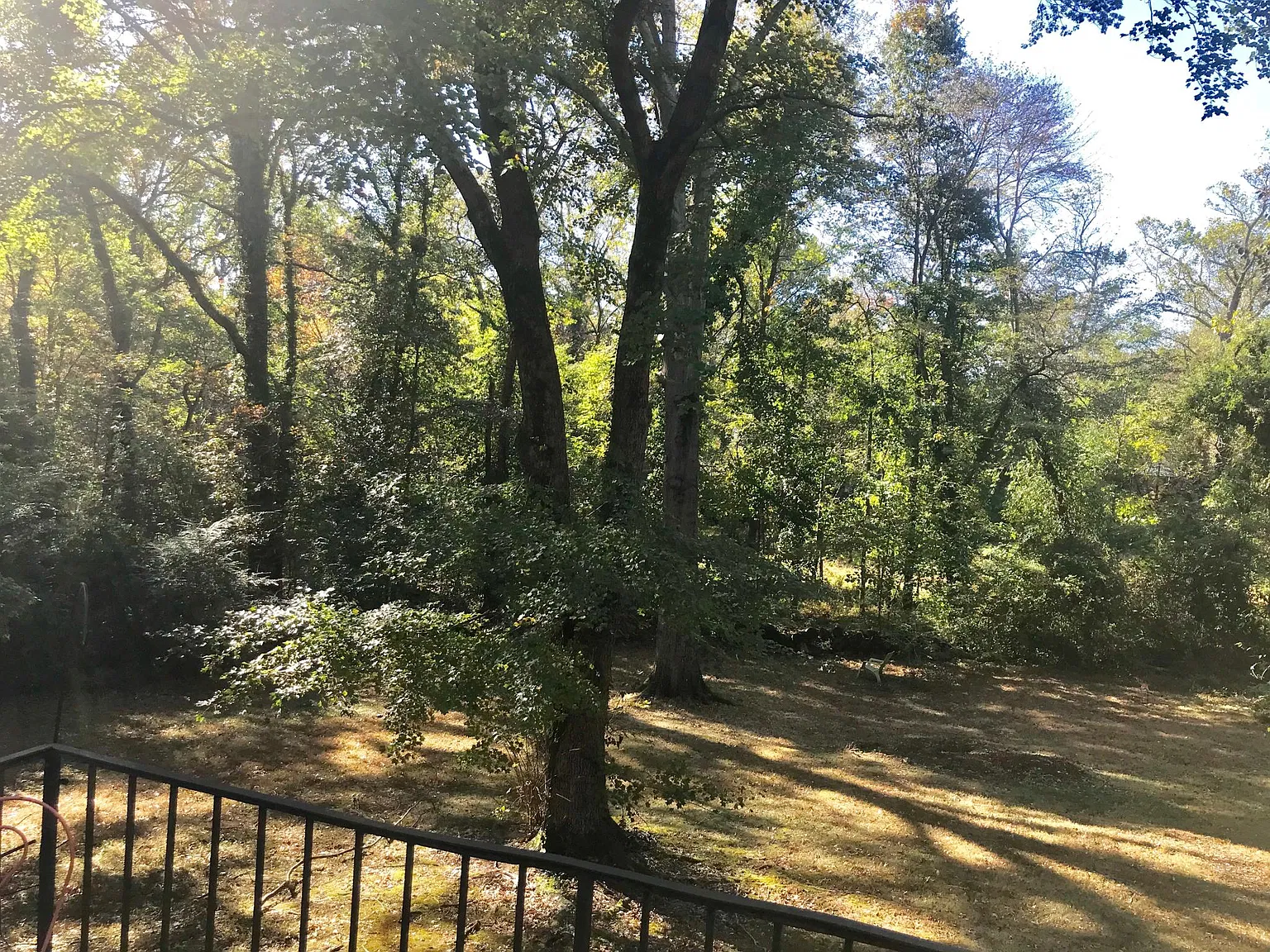 4 bed, 2.5 bath, 1189 sqft, $3,900 — Photo 4