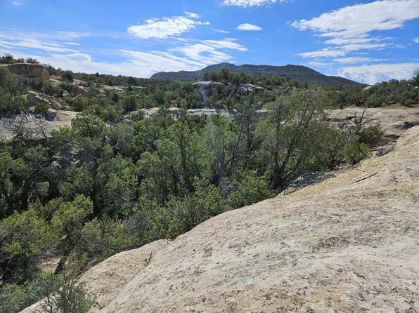 4620 Horse Canyon Rd, De Beque, CO 81630