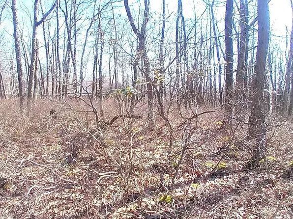 Horseshoe Dr Lot 397, Hazleton, PA 18202