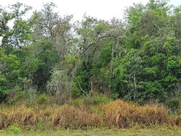 Spruce Rd Lot 2, Ocala, FL 34472