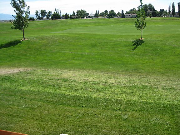 Golf course View from house