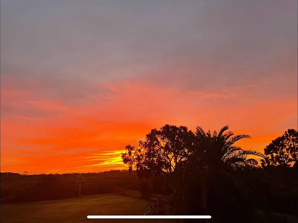 8115 Honeybee Ln, Tampa, FL 33635