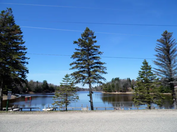 Xx N Forest Lake Dr, Alger, MI 48610