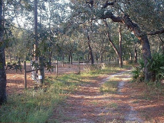 Driveway to Peace and Quiet Privacy